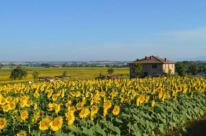 Podere Molinaccio, Panicale